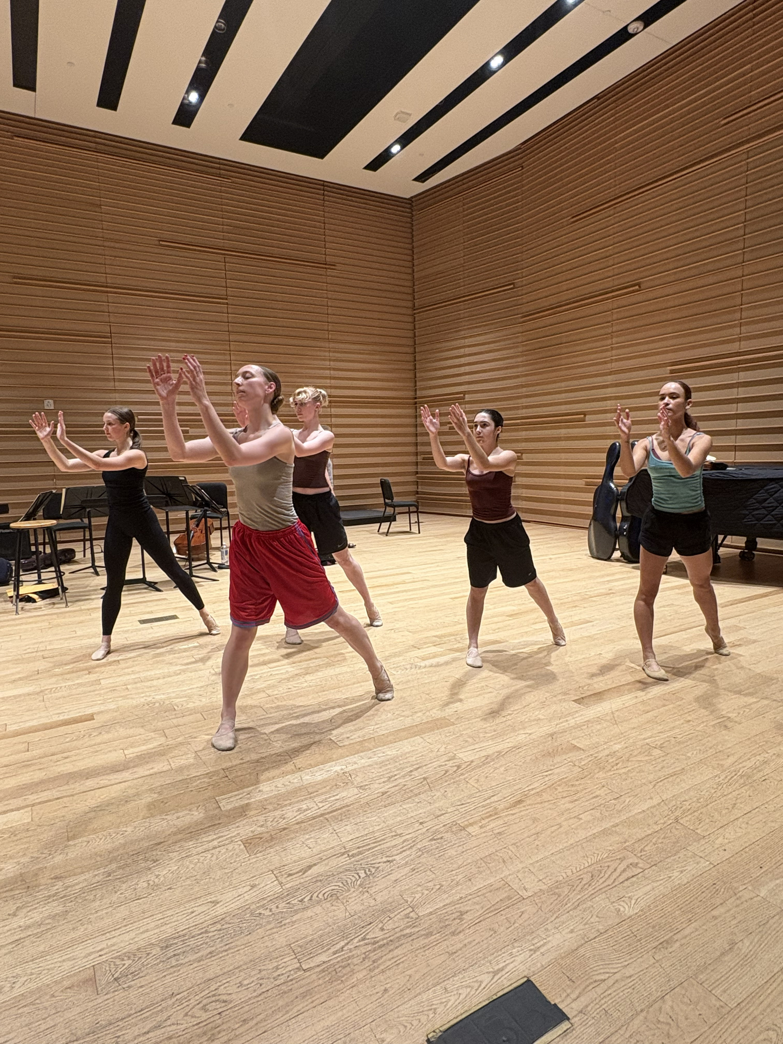 4. Ballet Support Foundation and New York City Opera dance project at Bryant Park (June, 2025)